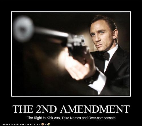 THE 2ND AMENDMENT
