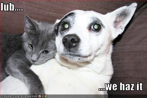 lub....  ...we haz it