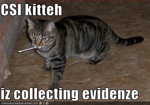 CSI kitteh   iz collecting evidenze