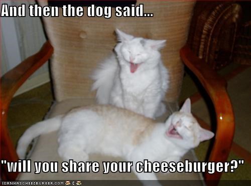 And then the dog said...  "will you share your cheeseburger?"