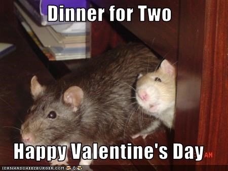 Dinner for Two  Happy Valentine's Day