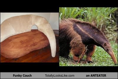 Funky Couch Totally Looks Like an ANTEATER