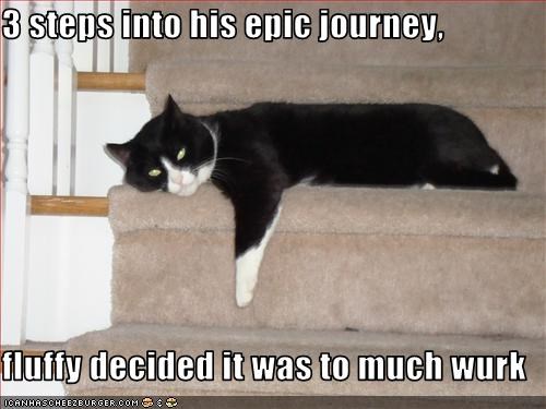 3 steps into his epic journey,   fluffy decided it was to much wurk