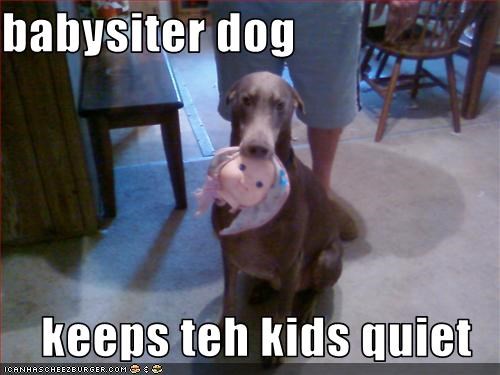 babysiter dog  keeps teh kids quiet