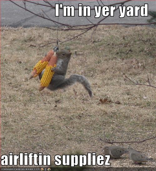 I'm in yer yard  airliftin suppliez