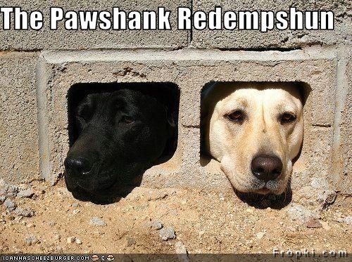 The Pawshank Redempshun