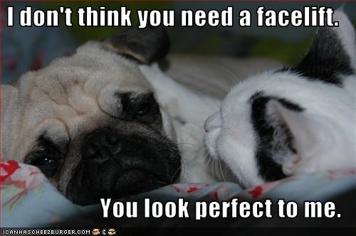 I don't think you need a facelift.  You look perfect to me.