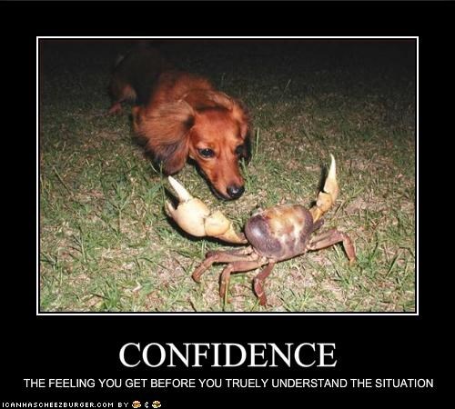 CONFIDENCE
