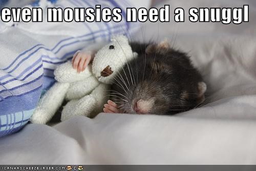 even mousies need a snuggl