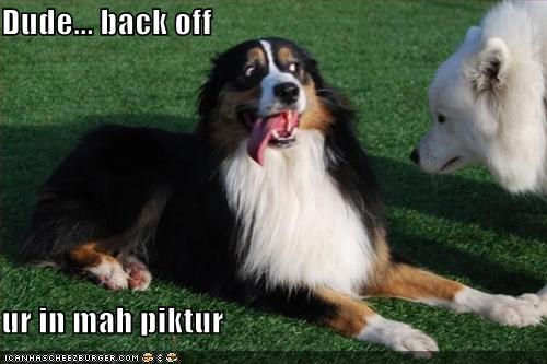 Dude... back off  ur in mah piktur