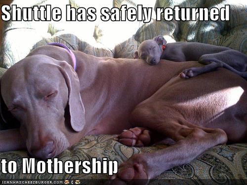 Shuttle has safely returned  to Mothership