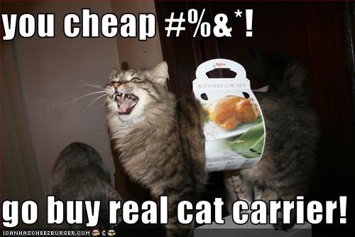 you cheap #%&*!  go buy real cat carrier!