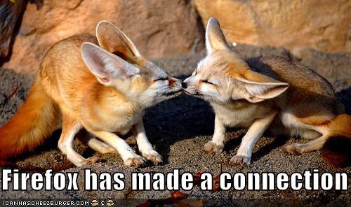Firefox has made a connection