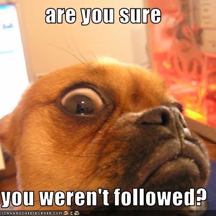 are you sure   you weren't followed?