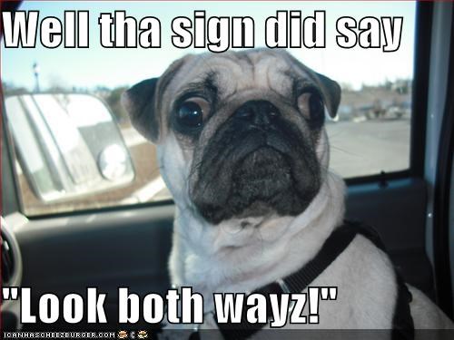 Well tha sign did say  "Look both wayz!"