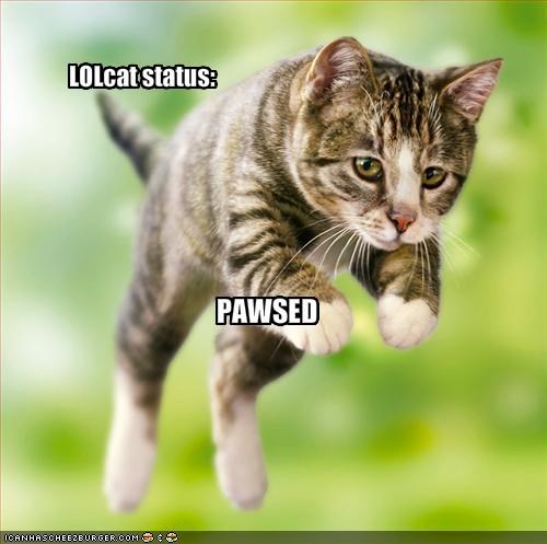LOLcat status: