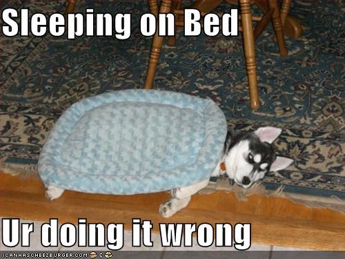 Sleeping on Bed  Ur doing it wrong