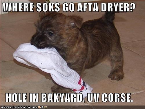 WHERE SOKS GO AFTA DRYER?  HOLE IN BAKYARD, UV CORSE.