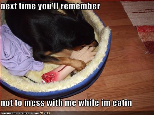 next time you'll remember  not to mess with me while im eatin