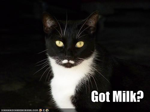 Got Milk?
