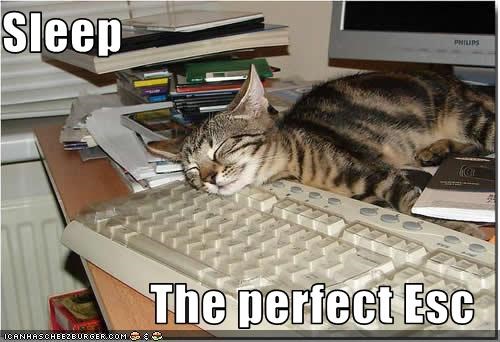 Sleep  The perfect Esc