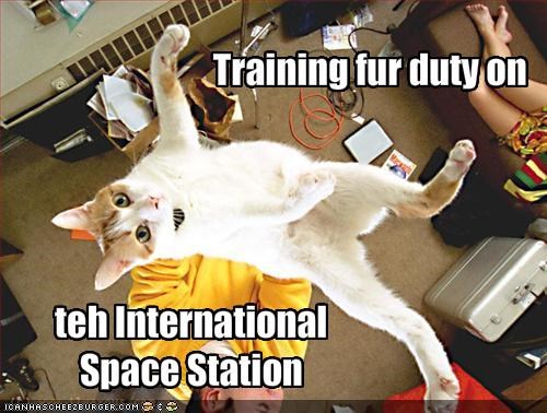 Training fur duty on