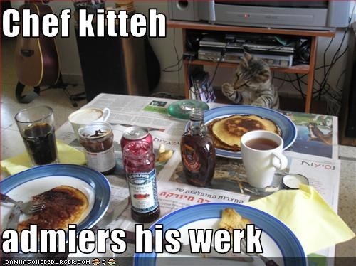Chef kitteh  admiers his werk