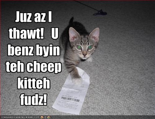 Juz az I thawt!   U benz byin teh cheep kitteh fudz!