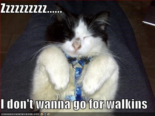 Zzzzzzzzzz......  I don't wanna go for walkins
