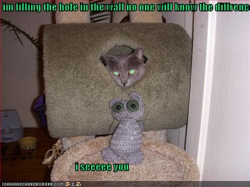 im filling the hole in the wall no one will know the diffrence                                        i seeeee you