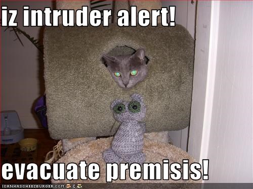 iz intruder alert!  evacuate premisis!