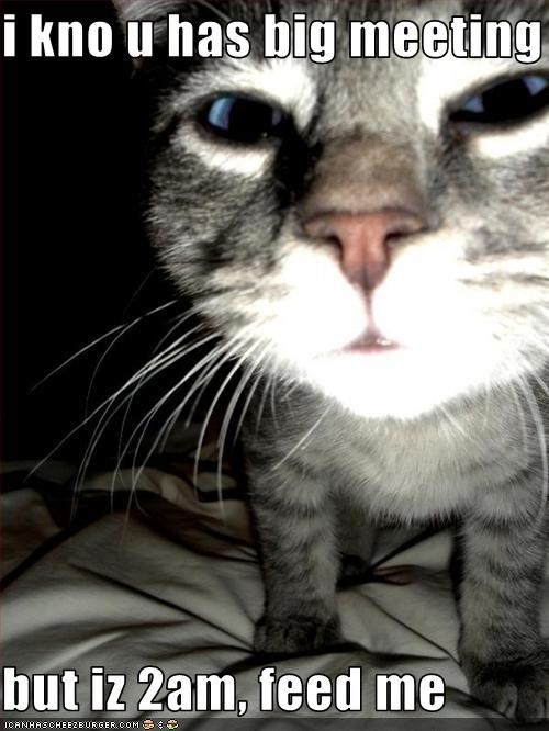 i kno u has big meeting  but iz 2am, feed me