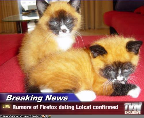 Breaking News - Rumors of Firefox dating Lolcat confirmed