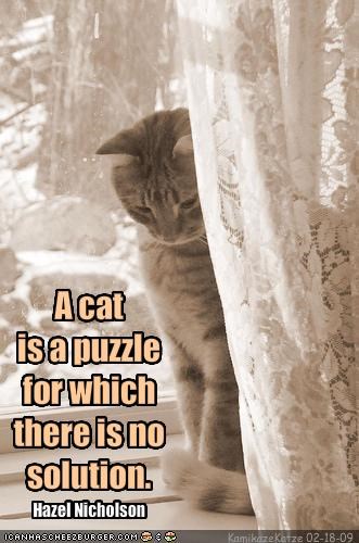 A cat is a puzzle for which there is no solution.