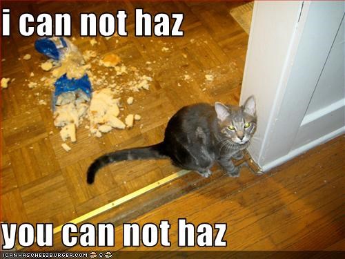 i can not haz  you can not haz