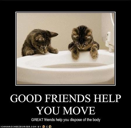 GOOD FRIENDS HELP YOU MOVE