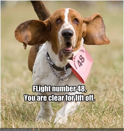FLight number 48,You are clear for lift off.