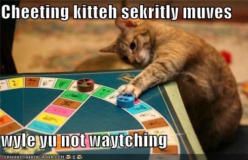 Cheeting kitteh sekritly muves  wyle yu not waytching
