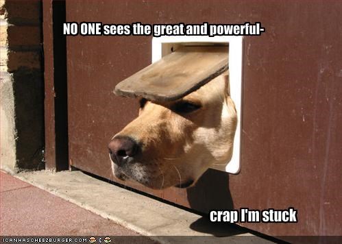 NO ONE sees the great and powerful-