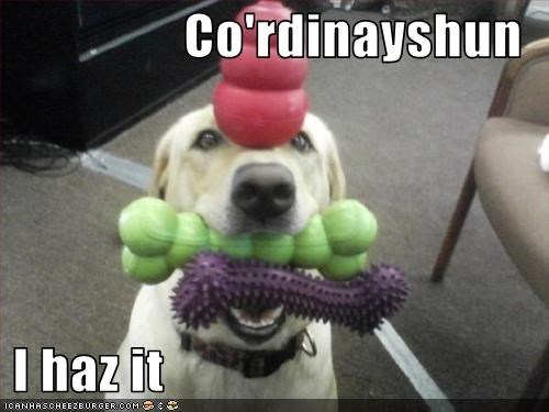 Co'rdinayshun   I haz it