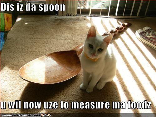 Dis iz da spoon   u wil now uze to measure ma foodz