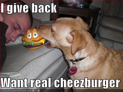 I give back  Want real cheezburger