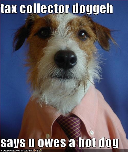 tax collector doggeh  says u owes a hot dog