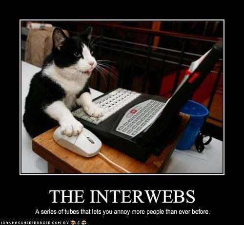 THE INTERWEBS