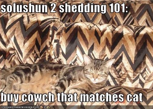solushun 2 shedding 101:  buy cowch that matches cat