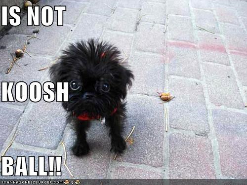 IS NOT KOOSH  BALL!!