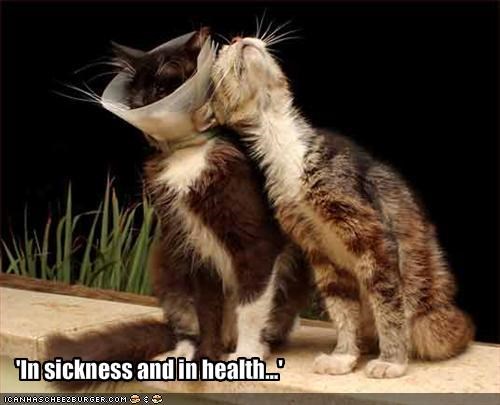 'In sickness and in health...'