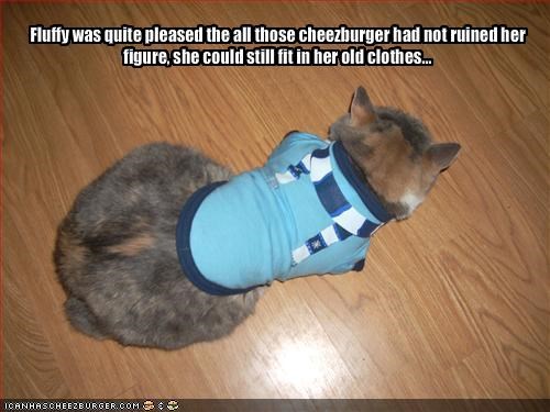 Fluffy was quite pleased the all those cheezburger had not ruined her figure, she could still fit in her old clothes... 