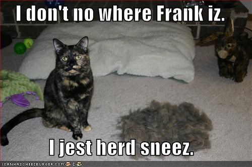 I don't no where Frank iz.  I jest herd sneez.