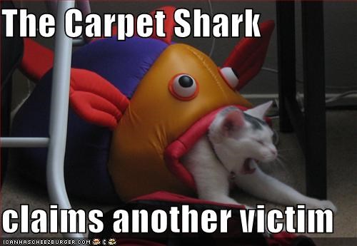 The Carpet Shark  claims another victim